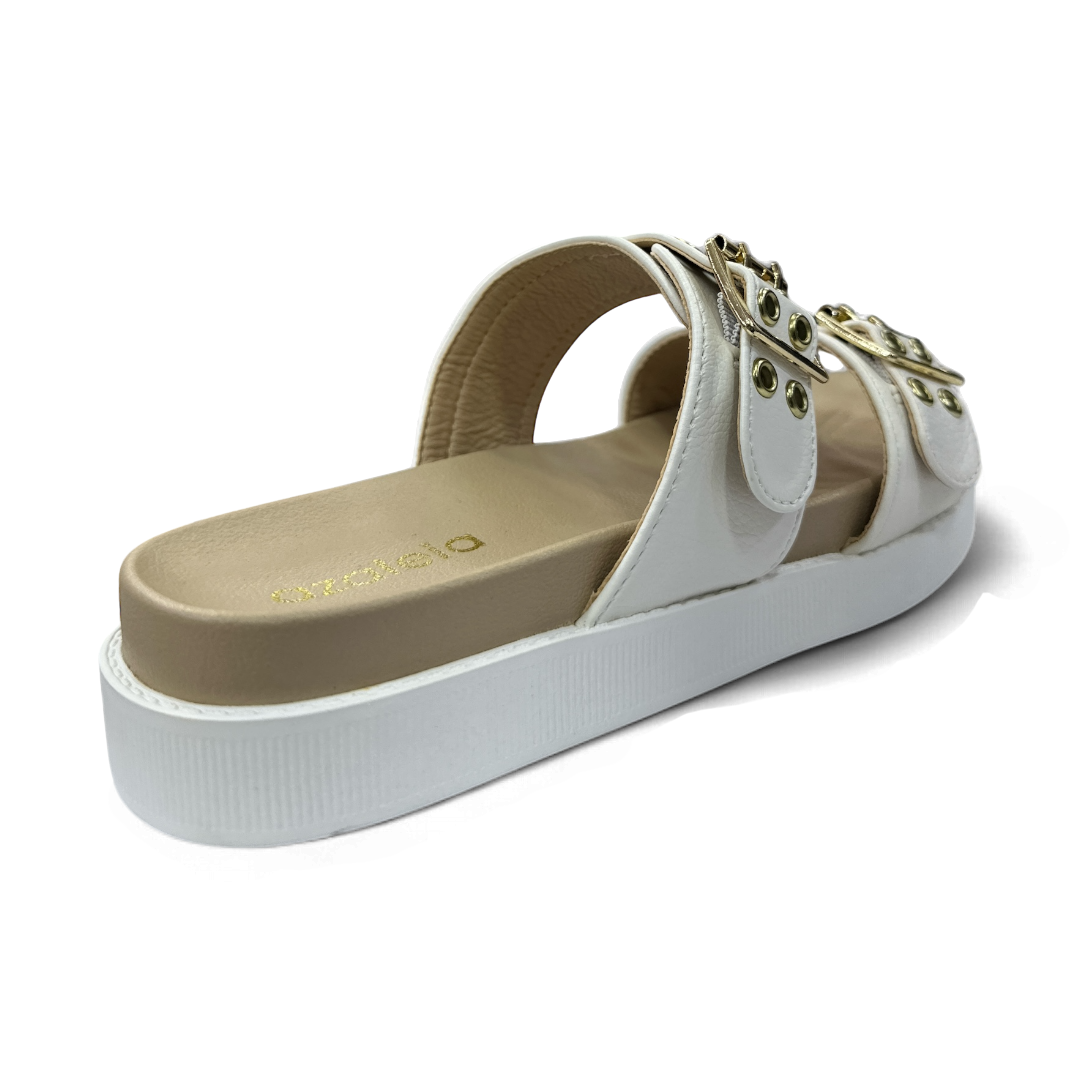 Azaleia Birken 209
