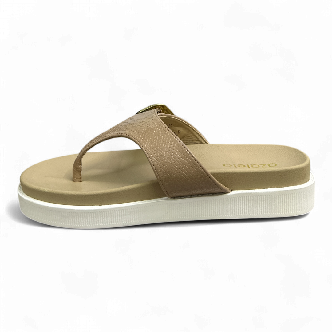 Azaleia Birken 208