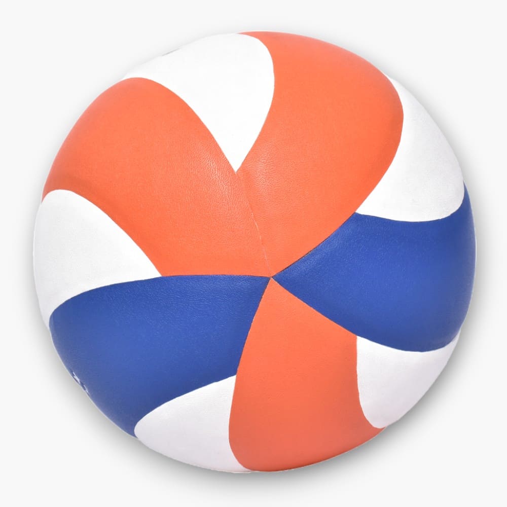 BALÓN VOLEIBOL GOLTY PROFESIONAL VGP5