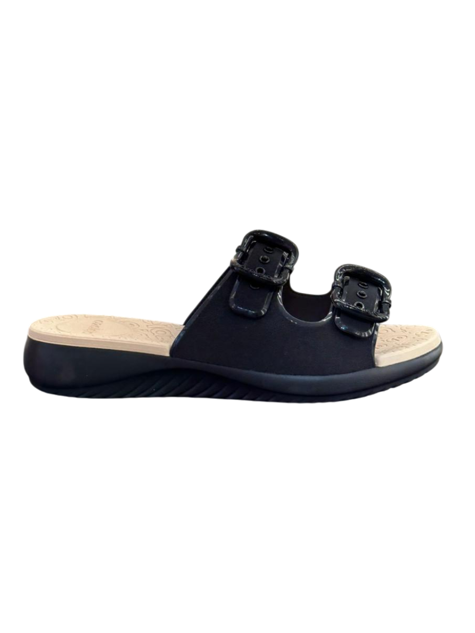 AZALEIA 19381 ALICIA